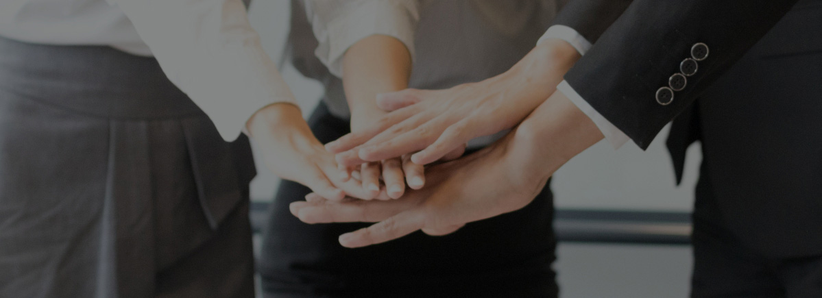 公司完善的體系及產品認證