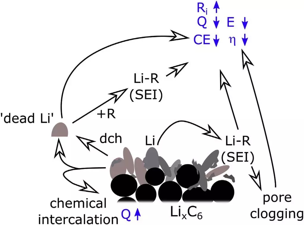 editor1525272115197178.jpg 7.jpg