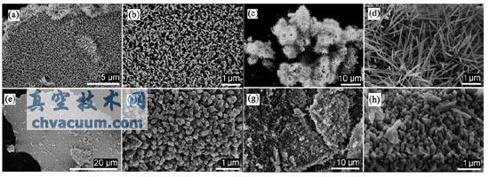 editor1527516272449673.jpg 2.jpg