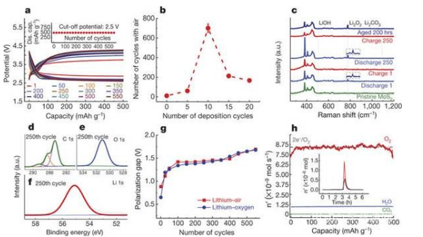 editor1530112579458380.png 1.png