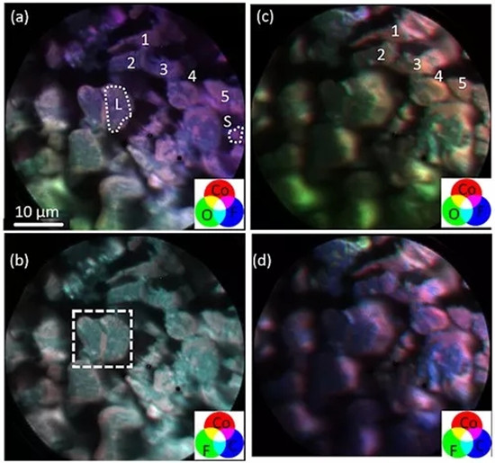 editor1532083867325363.jpg 1.jpg